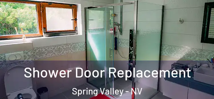 Shower Door Replacement Spring Valley - NV